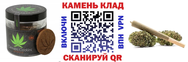 Купить закладки  Новая Ладога  Cannafood конопля 