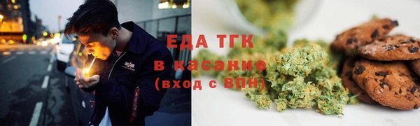 хмурый Гусев