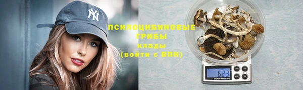 экстази Гусь-Хрустальный