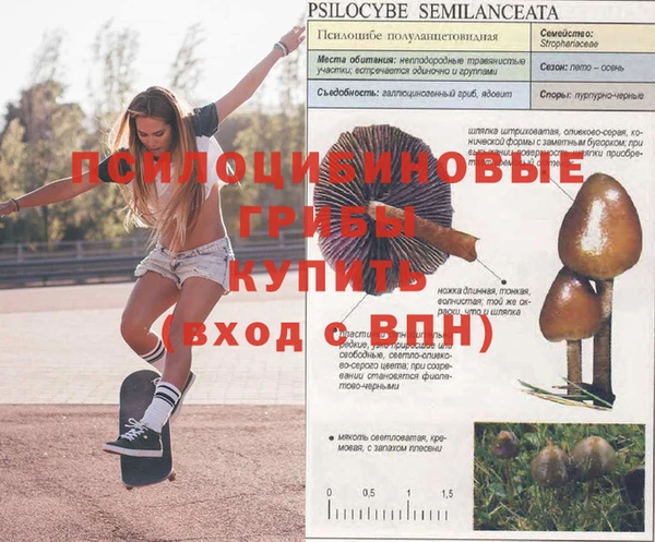 экстази Гусь-Хрустальный