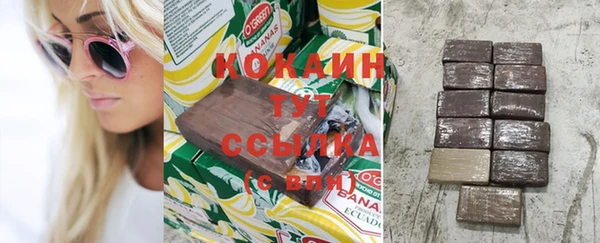 хмурый Гусев