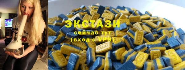 хмурый Гусев