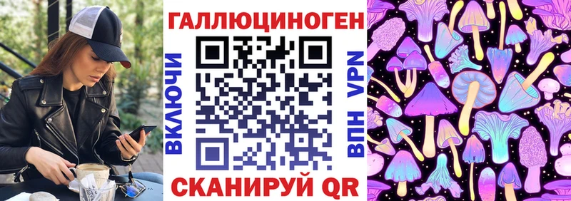 Псилоцибиновые грибы ЛСД Купить Новая Ладога